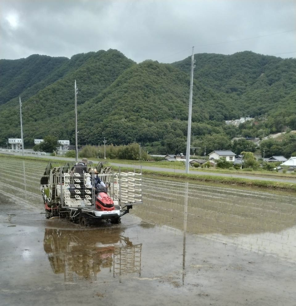 コーヒーを淹れている画像